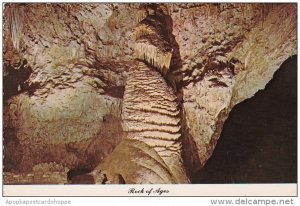 New Mexico Carlsbad Rock Of Age Carlsbad Caverns National Park