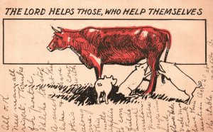 Vintage Postcard 1906 The Lord Helps Those Who Help Themselves Cow Feeding Pigs