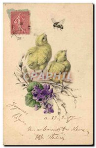 Old Postcard Fantasy Flowers Bourdon Chicks
