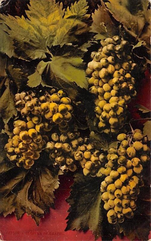 A Cluster of Grapes Still Life 1912 