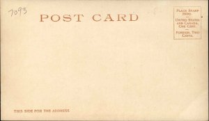 Jacksonville Florida FL Bay St. #7993 c1910 Detroit Publishing Postcard