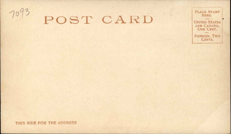 Jacksonville Florida FL Bay St. #7993 c1910 Detroit Publishing Postcard