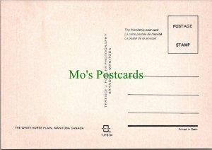 Canada Postcard - The White Horse Plain, Manitoba  RR15136