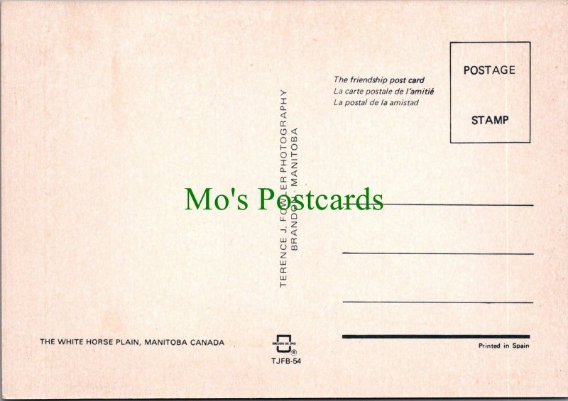 Canada Postcard - The White Horse Plain, Manitoba  RR15136