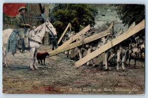 Rocky Mountains Colorado Postcard Pack Train Riding Horse Donkeys Animals 1910