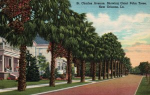 New Orleans, Louisiana - St. Charles Avenue, residential Street -c1940