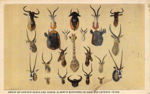 African Heads And Horns Albert's Buckhorn Saloon - San Antonio, Texas TX  