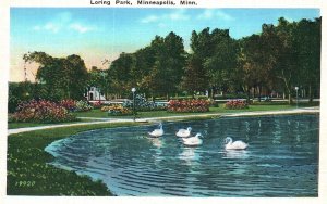 Vintage Postcard Loring Park Swan Lake Landscapes Minneapolis Minnesota MN Co-Mo