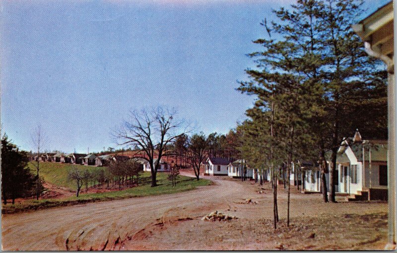 Vtg Cleveland Deluxe Cottages & Restaurant US 129 Georgia GA Postcard