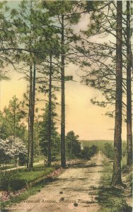 Albertype 1920s Vermont Avenue Southern  Pines North Carolina Postcard 20-9155