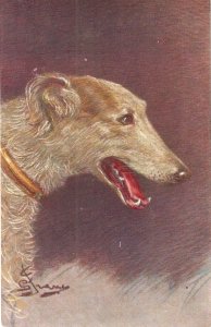 Dog. Levriere Russe Old vintage Italian Art Postcard. Artist signed