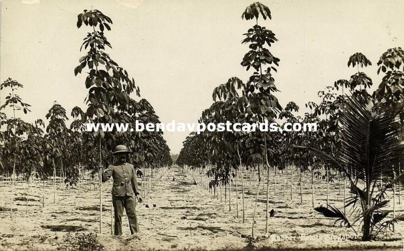 singapore, Rubber Estate (1910s) RPPC