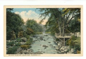 NH - Jackson. Wildcat River & Crow's Nest ca 1920's