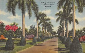 Stately Palms and Australian Pines Misc, Florida