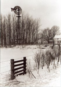 Postcard Amish The Windmill