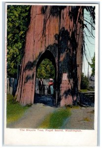 c1905 The Bicycle Tree Huge Passable Tree View Puget Sound Washington Postcard