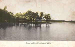 Vintage Postcard 1915 Scene on Paw Paw Lake Forest Trees Nature Michigan MI