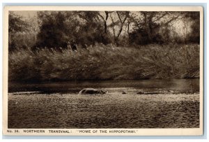 c1930's No. 36 Northern Transvaal Home of the Hippopotami South Africa Postcard