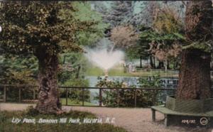 Canada Victoria Lily Pond In Beacon Hill Park