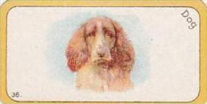 Carreras Cigarette Card Greyhound Racing Game No 36 Dog