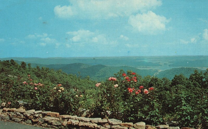 Vintage Postcard Cherokee Lake Clinch Mountain Lookout Tennessee W. M. Cline 