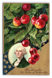 Postcard Washington The Father Of His Country Cherries Embossed Card