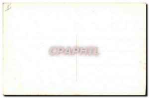 Modern Postcard Elephants Elephant