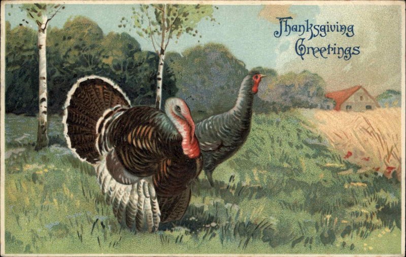 Thanksgiving Turkey Field Embossed Vintage Postcard