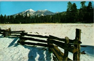 San Francisco Peaks  w/ Snow US Hwy 66 Near Flagstaff Postcard