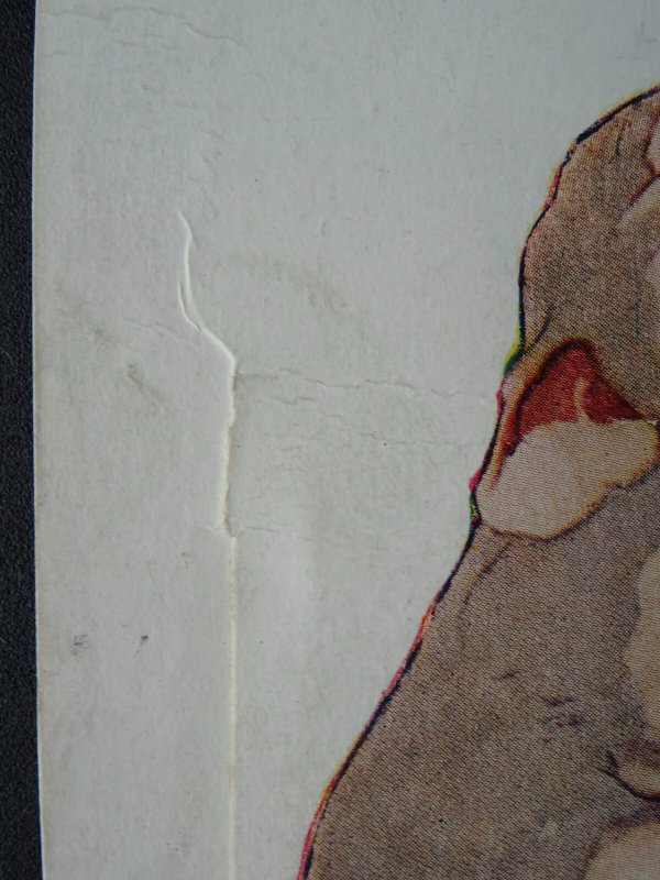 Devon Ilfracombe 12 Image Novelty Pullout WHEN YOU THINK OF RETIRING... c1925 PC