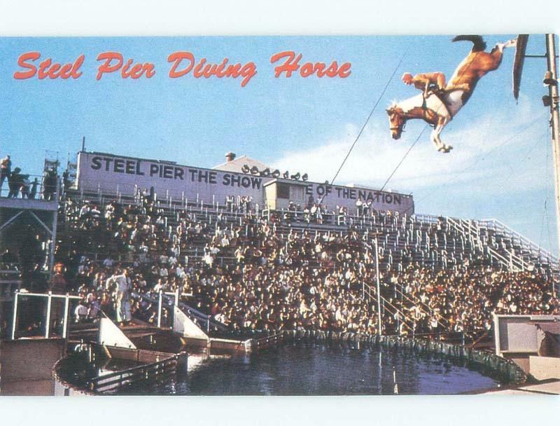 Pre-1980 SEABISCUIT THE DIVING HORSE AT STEEL PIER Atlantic City NJ E7134