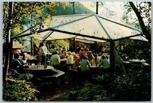 Juneau Alaska 1970s Continental Size Postcard Gold Creek Salmon Bake