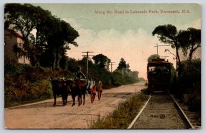 Yarmouth Nova Scotia Canada~Ox Cart on Road~Trolley to Lakeside Park~c1910 PC