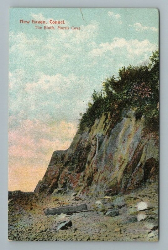 New Haven Connecticut The Bluffs Morris Cove Vintage Postcard United States Connecticut