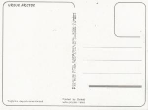 URSUS ARCTOS BROWN GRIZZLY BEAR OURS