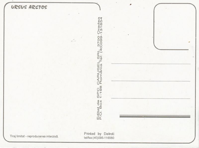 URSUS ARCTOS BROWN GRIZZLY BEAR OURS