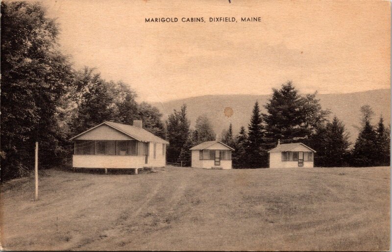 Marigold Cabins Dixfield Maine Scenic Mountain Landscape BW WOB Postcard 