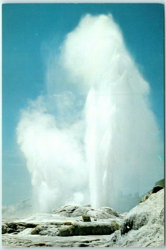 M-12136 Pohutu Geyser Rotorua New Zealand