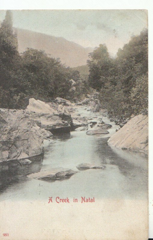 South Africa Postcard - A Creek in Natal - Ref TZ5546