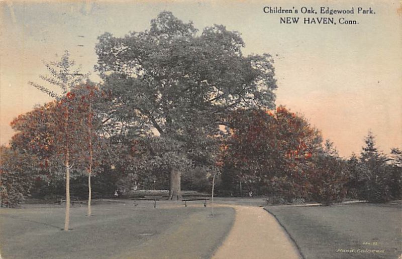 Children's Oak Edgewood Park New Haven CT 