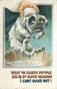 BB London Postcard E 3 Embossed Cold Wet Dog Is Unhappy About Bath