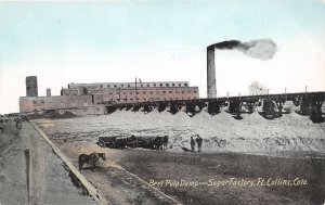 J29/ Fort Collins Colorado Postcard c1910 Beet Pulp Dump Sugar Factory 326