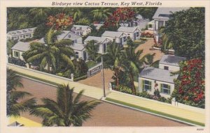 Florida Key West Birdseye View Cactus Terrace