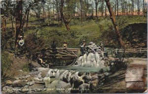 Sulphur Spring Glen Oak Park Peoria Illinois Vintage Postcard C095