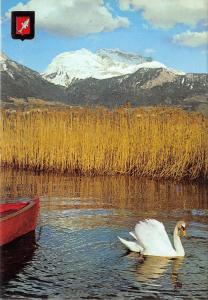 BF40103 lac d annecy la tournette cygne swan  france  bird oiseau