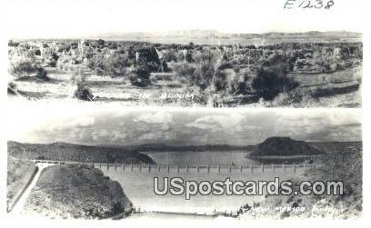 Printed Photo - Yuccas in Bloom in Elephant Butte Dam, New Mexico