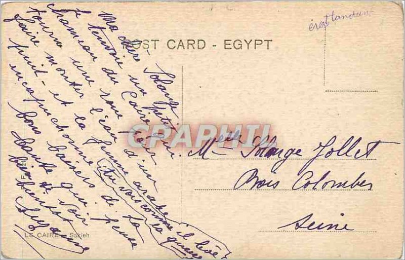 Old Postcard Cairo Camel Sakieh