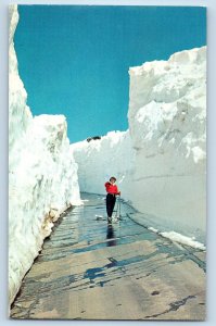 Tacoma Washington WA Postcard Snow Alley Typical Deep Snow Ski-Country c1960's