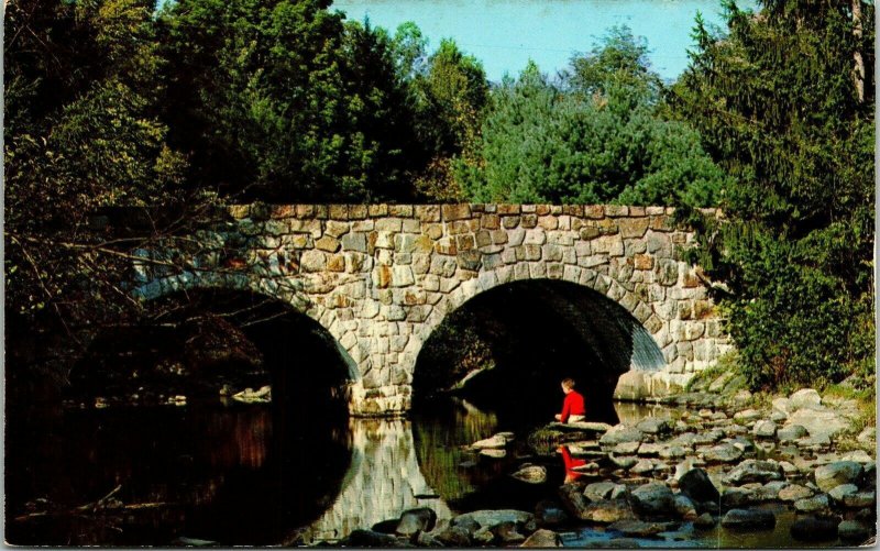 Big Flatbrook Stokes State Forest Sussex County NJ New Jersey Postcard VTG UNP  