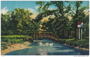 Rustic Bridge , City Park , Alexandria , Louisiana , 40-60s